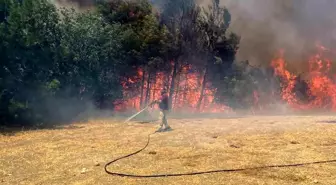 Çanakkale'de Orman Yangını Kontrol Altına Alınıyor