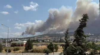 Çanakkale'de yangın! Çanakkale'deki orman yangını söndürüldü mü, son durum ne?