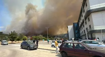 Çanakkale'deki orman yangını devlet hastanesine ulaştı! Hastalar tahliye ediliyor