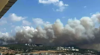 Çanakkale'de Orman Yangını: Havalimanı Geçici Olarak Kapatıldı