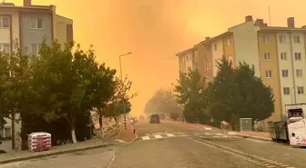 Çanakkale'de Orman Yangını: Sokaklar Boşaltılıyor