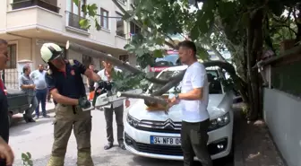 Çekmeköy'de Ağaç, Kamyonetle Çarpmanın Ardından Otomobilin Üzerine Düştü