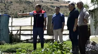 Bayburt'ta Tarım Müdürü Eko-Köy'de İncelemelerde Bulundu