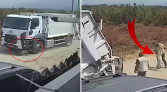 Ezerek telef olan köpekleri çöp kamyonuna atıp götürdüler