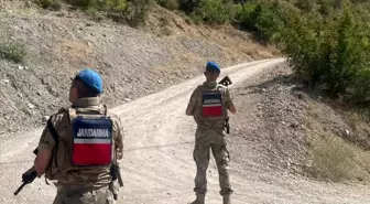 Adıyaman'da Jandarma Orman Yangınlarına Karşı Devriye Faaliyetlerini Arttırdı