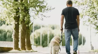 Rehber Köpeğiyle Tesislere Giremeyen Görme Engelliye Para Cezası