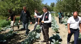 Vanlı Çiftçi Modern Sulama Sistemi ile Verim Artışı Sağladı