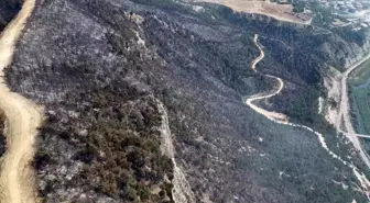 Karabük'te Orman Yangını Kontrol Altına Alındı