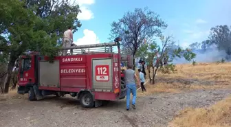 Afyonkarahisar'da Çıkan Ot Yangını 1 Saatte Kontrol Altına Alındı