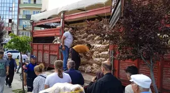 Afyonkarahisar'da Ücretsiz Patates Dağıtımı