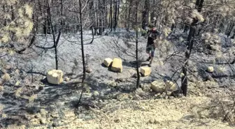 Bartın'daki Orman Yangını Tarihi Eser Heyecanı Yarattı