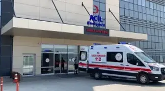 Yaşlı çiftçi tarlasında ölü bulundu! Korkunç olayda, 'domuz saldırısı' şüphesi