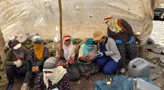 Hakkari'de Berivanlara Süt Hijyeni Eğitimi