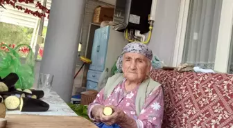 96 Yaşındaki Fatma Nine, Kış Hazırlıklarını Kendi Ellerleriyle Yapıyor