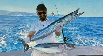 Akdeniz'de Deniz Suyu Sıcaklığı 30 Dereceyi Aştı, Tropik Balık Türleri Artıyor