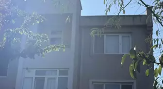 Anne, Oğlunu Yastıkla Boğarak Öldürdü