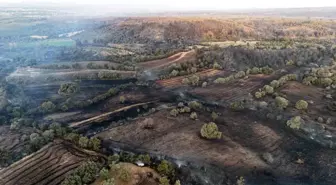 Çanakkale'de Orman Yangını: Saçaklı Köyü Alevlere Teslim Oldu
