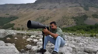 Diyarbakırlı Fotoğrafçı, Bozayıları Görmek İçin 3 Bin Kilometre Yol Aldı