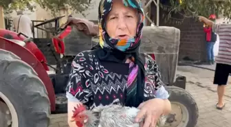 Yangında 3 Tavuğu Kalan Kadın Yardım İstedi