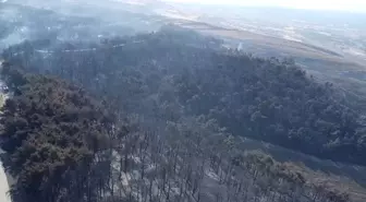 Sarıcaeli'nde Yangında Zarar Gören Alanlar Dronla Görüntülendi