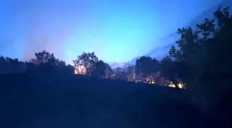 Diyarbakır'da Ağaçlık Alanda Yangın: Bir Ev Tahliye Edildi