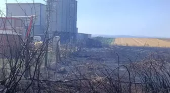 Edirne'de Anız Yangını Kontrol Altına Alındı