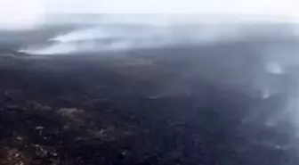 Tekirdağ'da Anız Yangını Kontrol Altına Alındı