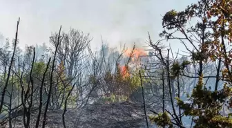 Tekirdağ'da Malkara'da Yangın Kontrol Altına Alındı