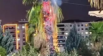 Mardin'de Palmiye Ağacı Ateşe Verildi