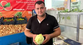 Adana'da Marul Tartışması: 15 Yaşındaki Çocuk Darp Edildi