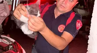 Çankırı'da Yavru Kedi Otomobilin Motoruna Sıkıştı, İtfaiye Kurtardı