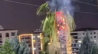 Kızıltepe'de Palmiye Ağacı İkinci Kez Yakıldı