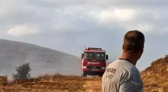 Paşalimanı Adası'nda Yangın Paniği
