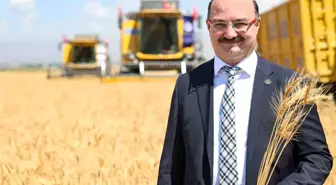 Erzurum Ovasında Buğday Hasadı Törenle Başladı