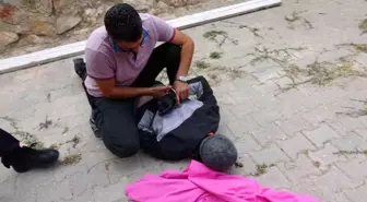 Tokat'ta Hırsızlık Yapan Ö. P.'ye 26 Yıl Hapis Cezası