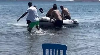 Ayvalık'ta Kahraman Vatandaşın Dramı: Çocuğu Kurtardı, Kendisi Hayatını Kaybetti