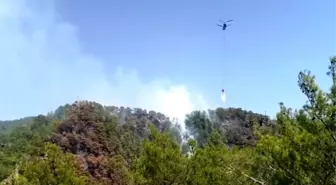 Mersin Anamur'da Orman Yangını Kontrol Altına Alındı