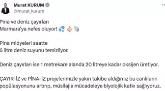 Marmara Denizi'nde Müsilajla Mücadele İçin Yeni Projeler Başlatıldı