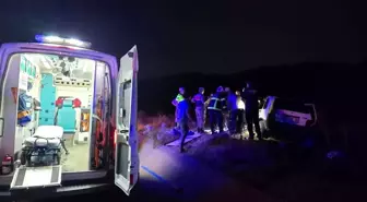 Bingöl'de Otomobilin Ata Çarpması Sonucu 2 Yaralı