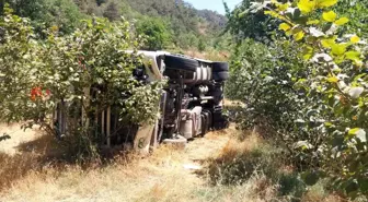 Mudurnu'da Kontrolden Çıkan Tır Fındık Bahçesine Devrildi