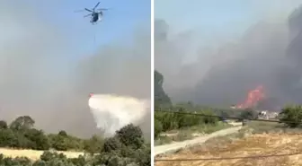 Çanakkale'de çıkan yangın ormana sıçradı
