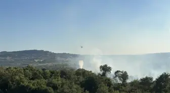 Çanakkale'de Orman Yangını Kontrol Altına Alındı