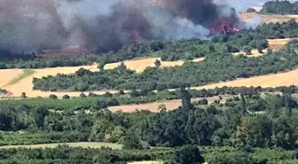 Çanakkale'de Tarım Arazisinde Başlayan Yangın Ormana Sıçradı