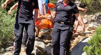 Kahramanmaraş'ta Ekşi Toplamak İçin Gittiği Arazide Kalp Krizinden Hayatını Kaybetti