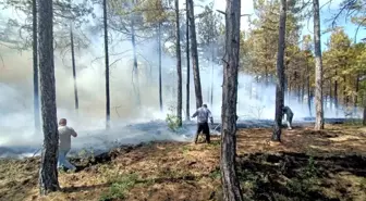 Denizli'de Orman Yangınına Hızlı Müdahale