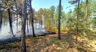 Denizli'nin Honaz İlçesinde Orman Yangını