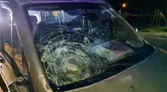 Karaman'da Trafik Kazası: Yaşlı Kadın Hayatını Kaybetti, Sürücü Darp Edildi