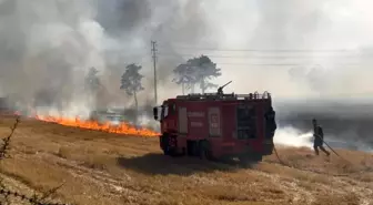 Lüleburgaz'da Anız Yangını: 3 Ev ve Bir Otomobil Kül Oldu