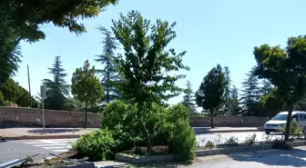 Kayseri'de Takla Atan Otomobilin Sürücüsü Yaralandı