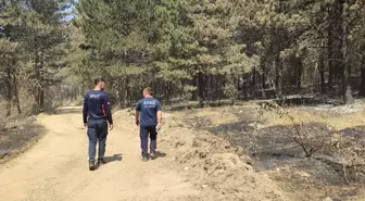 Orman Yangınından Tahliye Edilen Köylüler Evlerine Dönüyor
